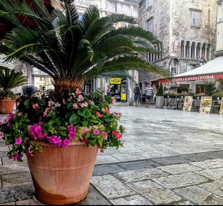 Apartment Ante Split Exterior foto